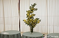 VBS_2003 - Inaugurazione Messer Tulipano 2025